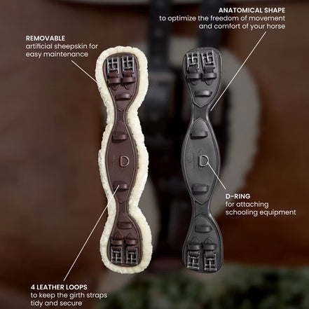 Kentucky Anatomical Short Girth Wool