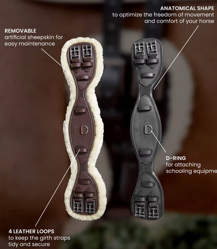 Kentucky Anatomische Korte Singel Wol