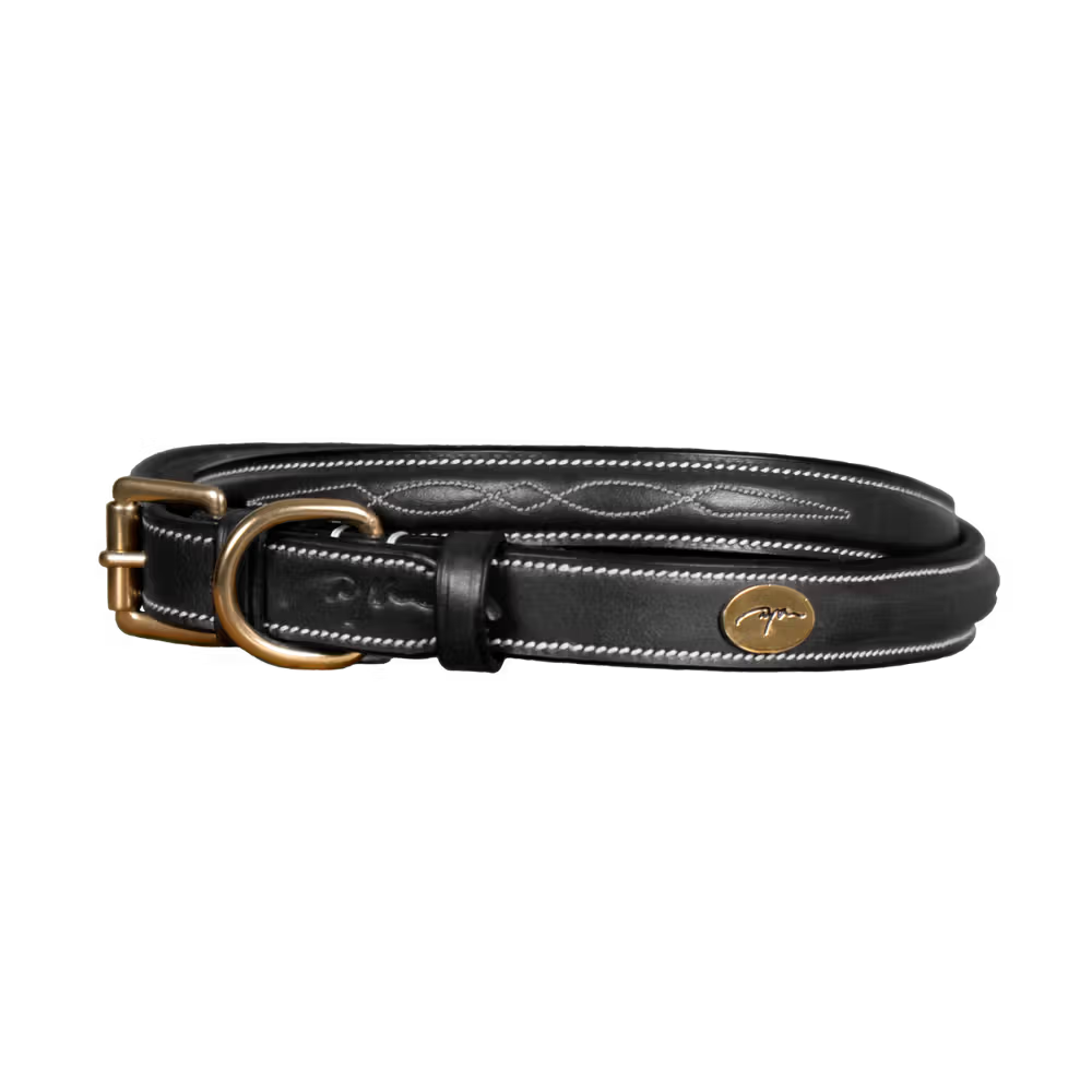 Dy'on Fancy Dog Collar – hondenkleding | Maddelin Equestrian