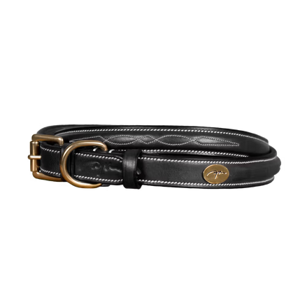 Dy'on Fancy Dog Collar