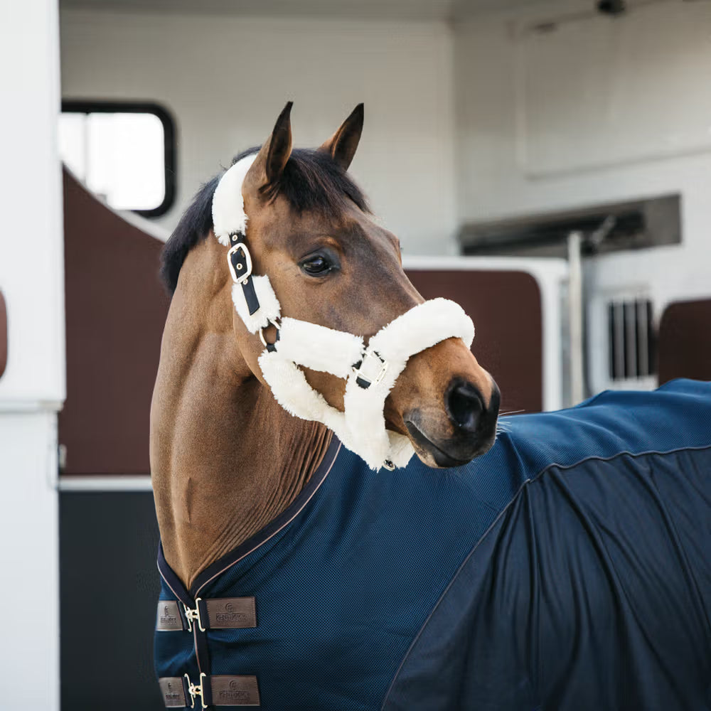 Kentucky Wollen Transport Halster – detailfoto 14