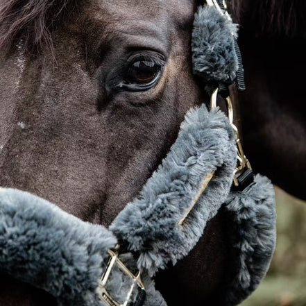 Kentucky Wollen Transport Halster