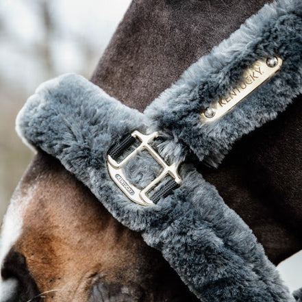 Kentucky Wollen Transport Halster