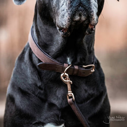 Kentucky Halsband Hond Velvet Leder