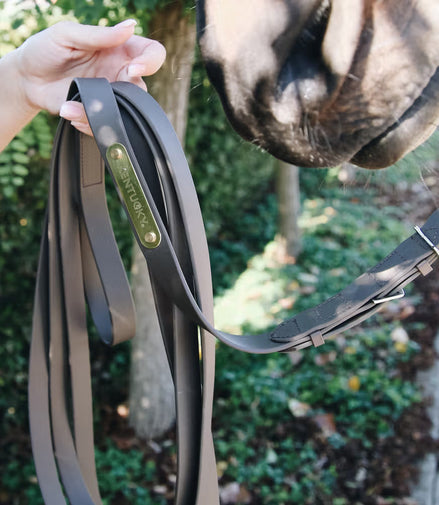 Kentucky Stallion Presentation Line 4 m Brown