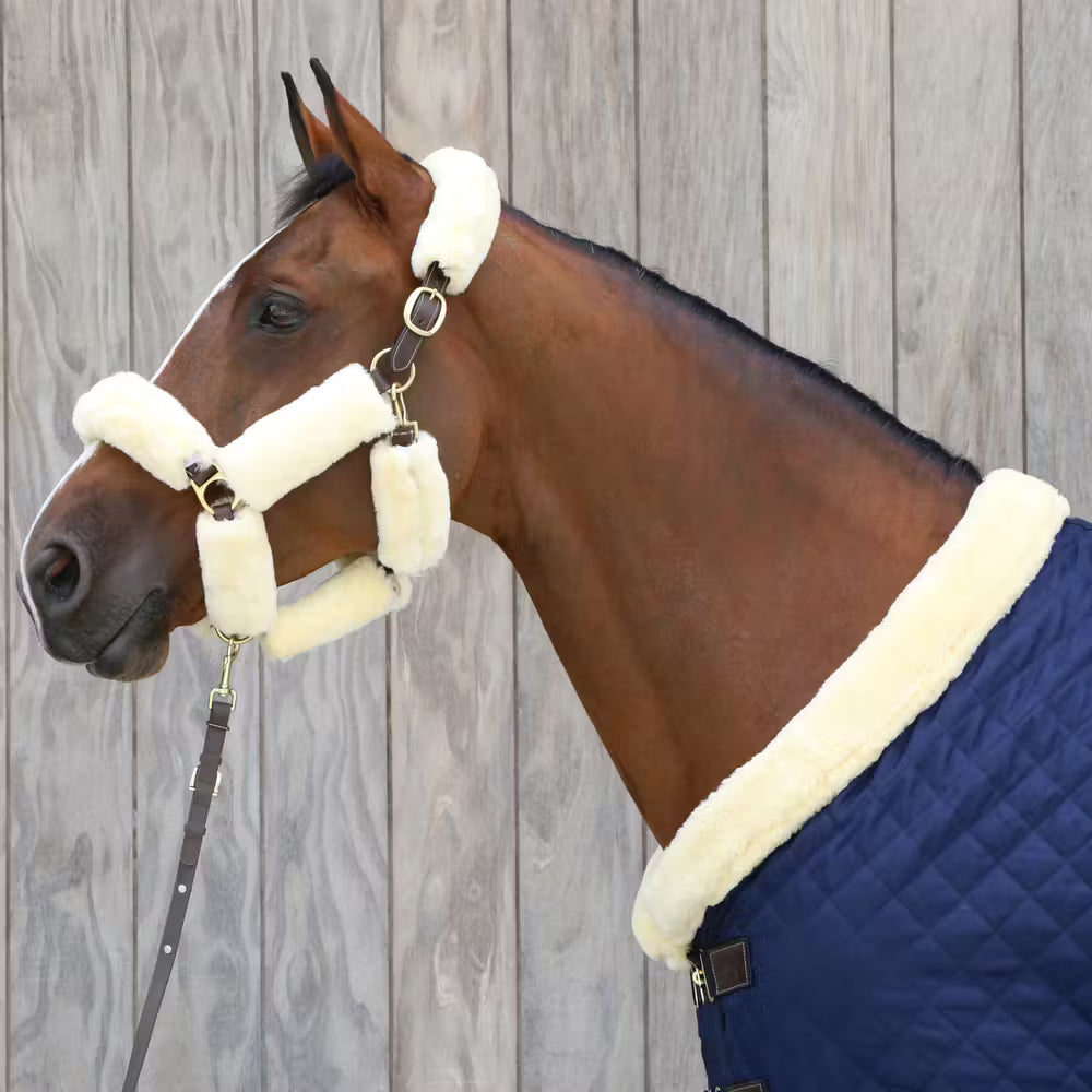 Kentucky Leder Presentatielijn Bruin met ketting 270 cm – detailfoto 7