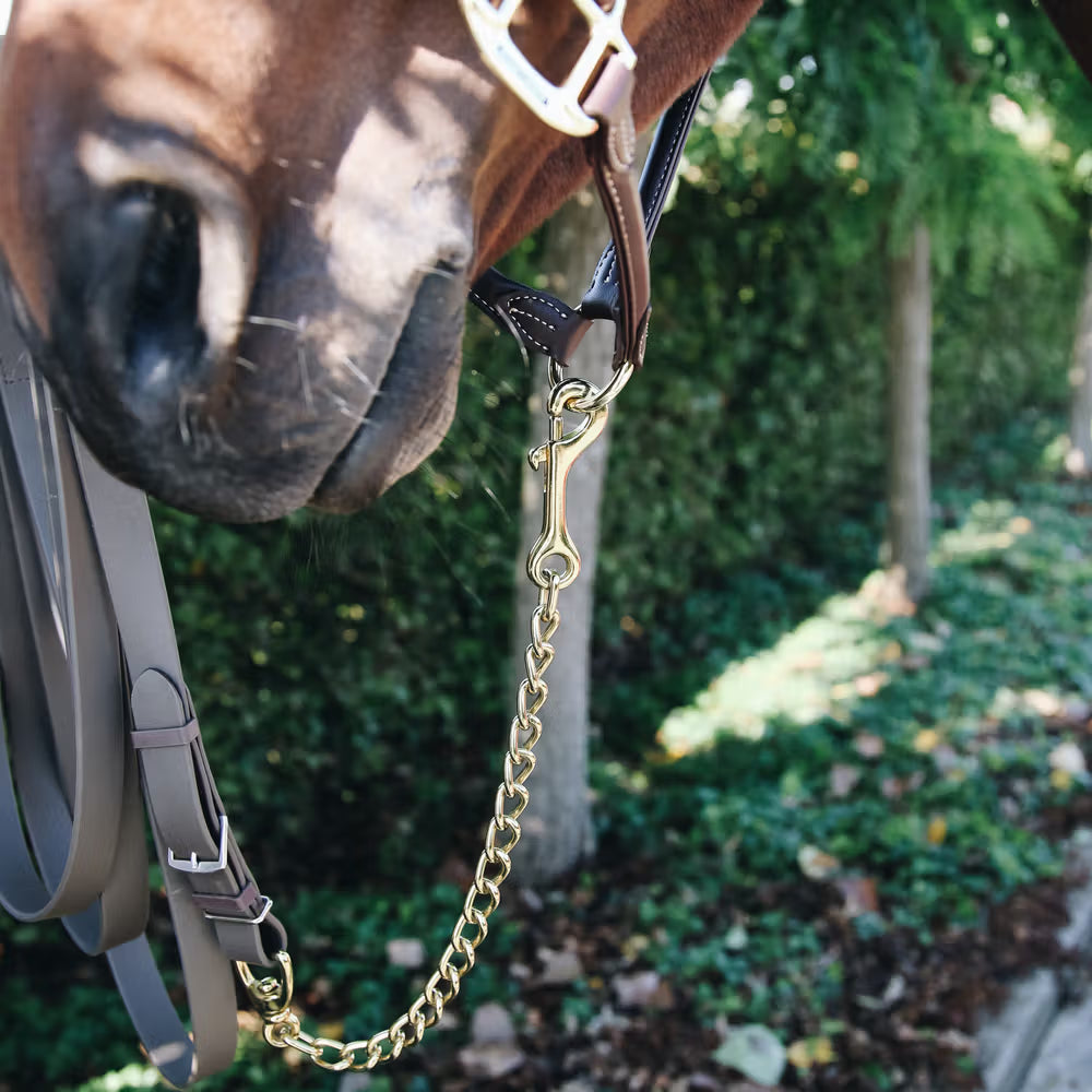 Kentucky Hengstenketting 60 cm