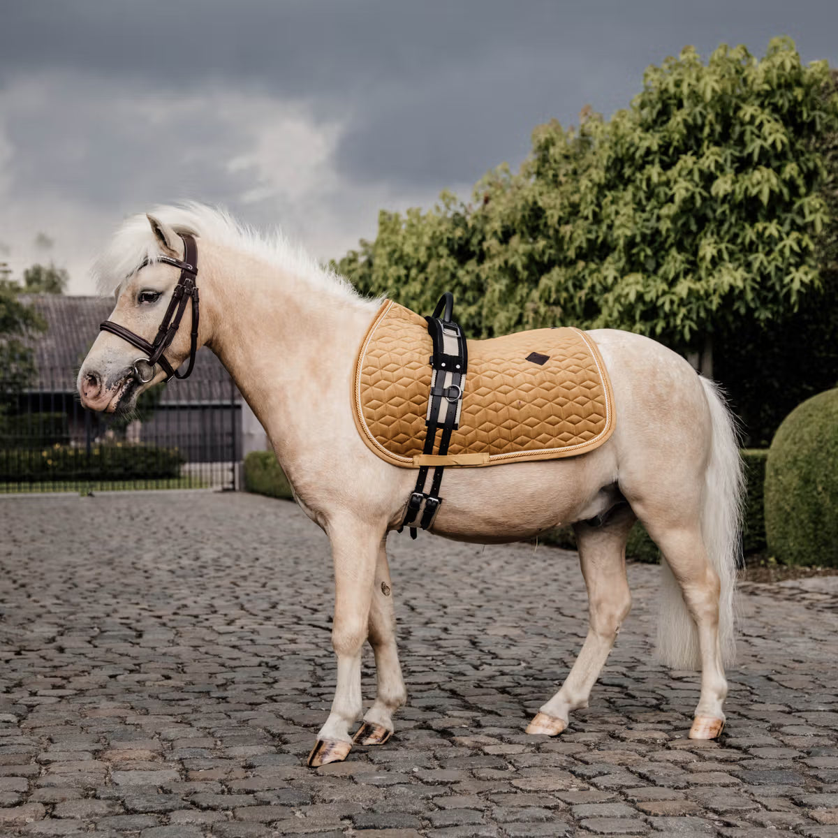 Kentucky Zadeldek Velvet Luxe Fluweel en Anatomisch Zadeldoeken - Maddelin Equestrian Kentucky