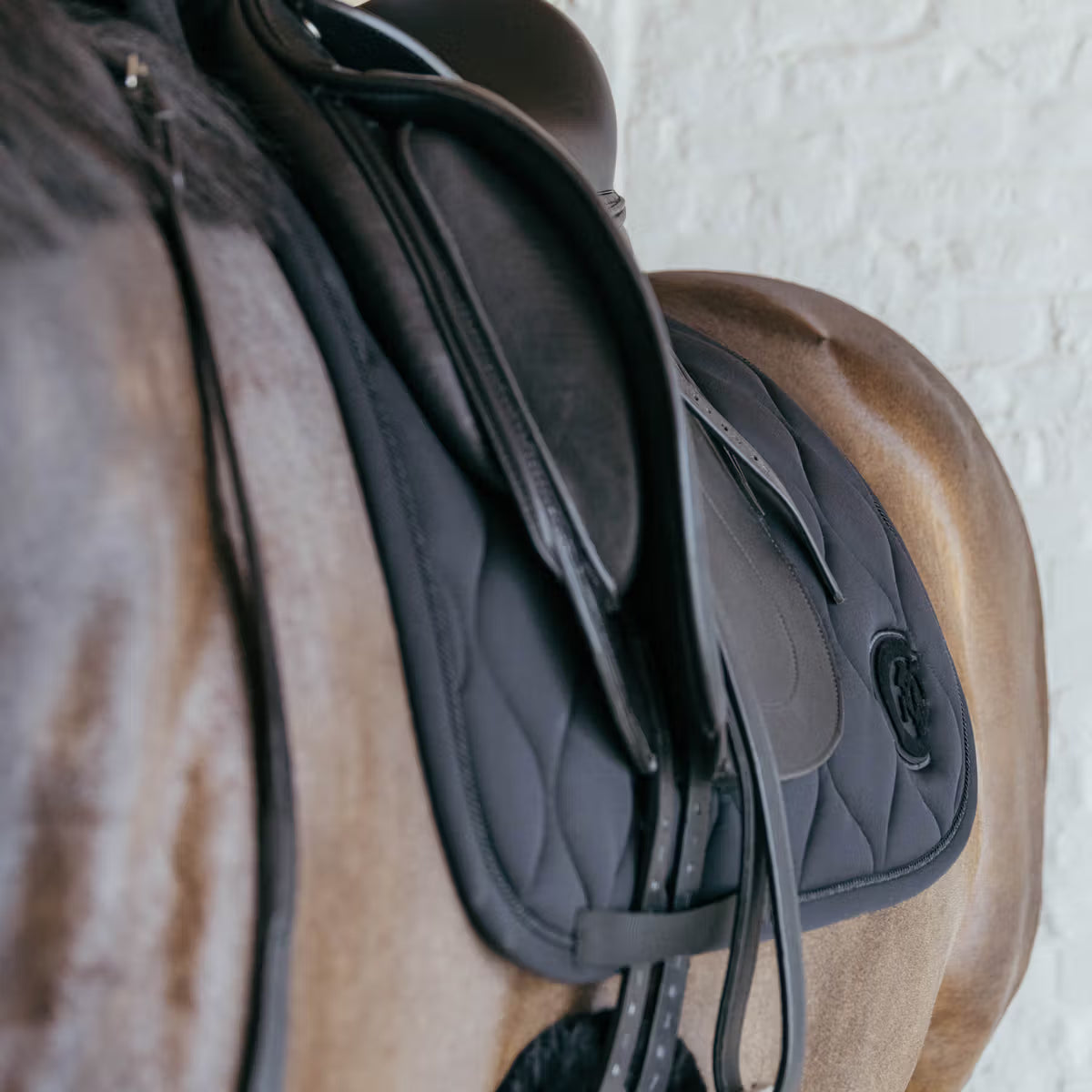 Kentucky Zadeldek Wave – detailfoto 21