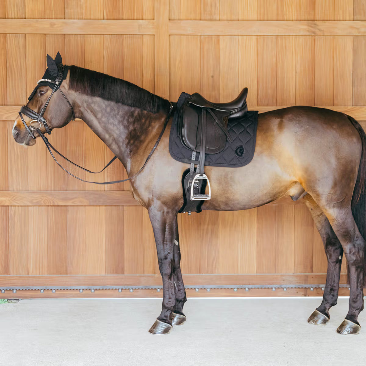 Kentucky Zadeldek Wave – detailfoto 22