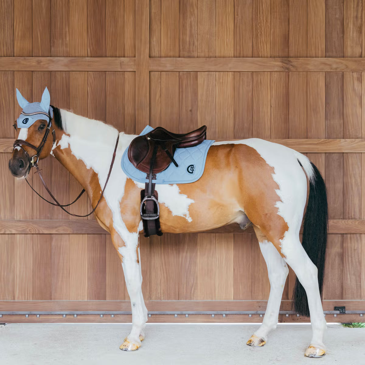 Kentucky Zadeldek Wave – detailfoto 16