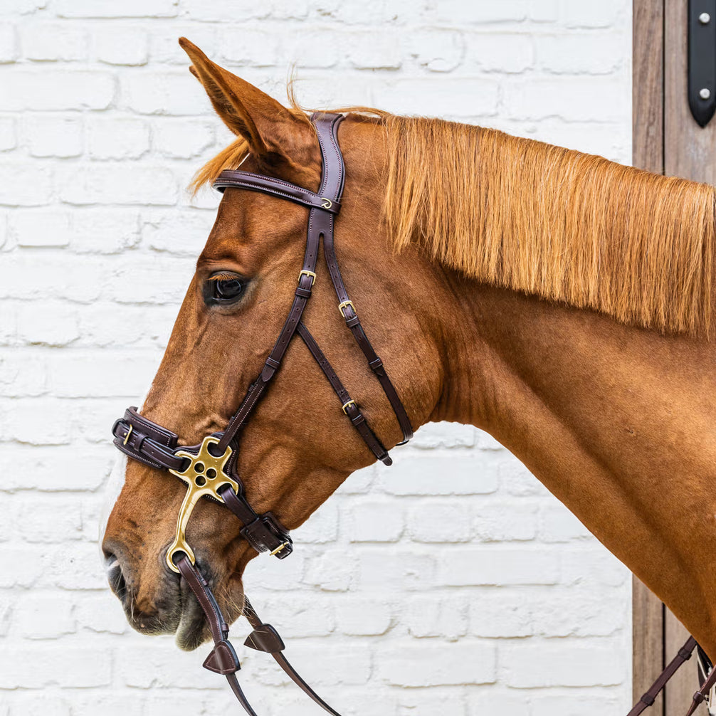 Dy'on Hackamore Hoofdstel - D Collection – detailfoto 6