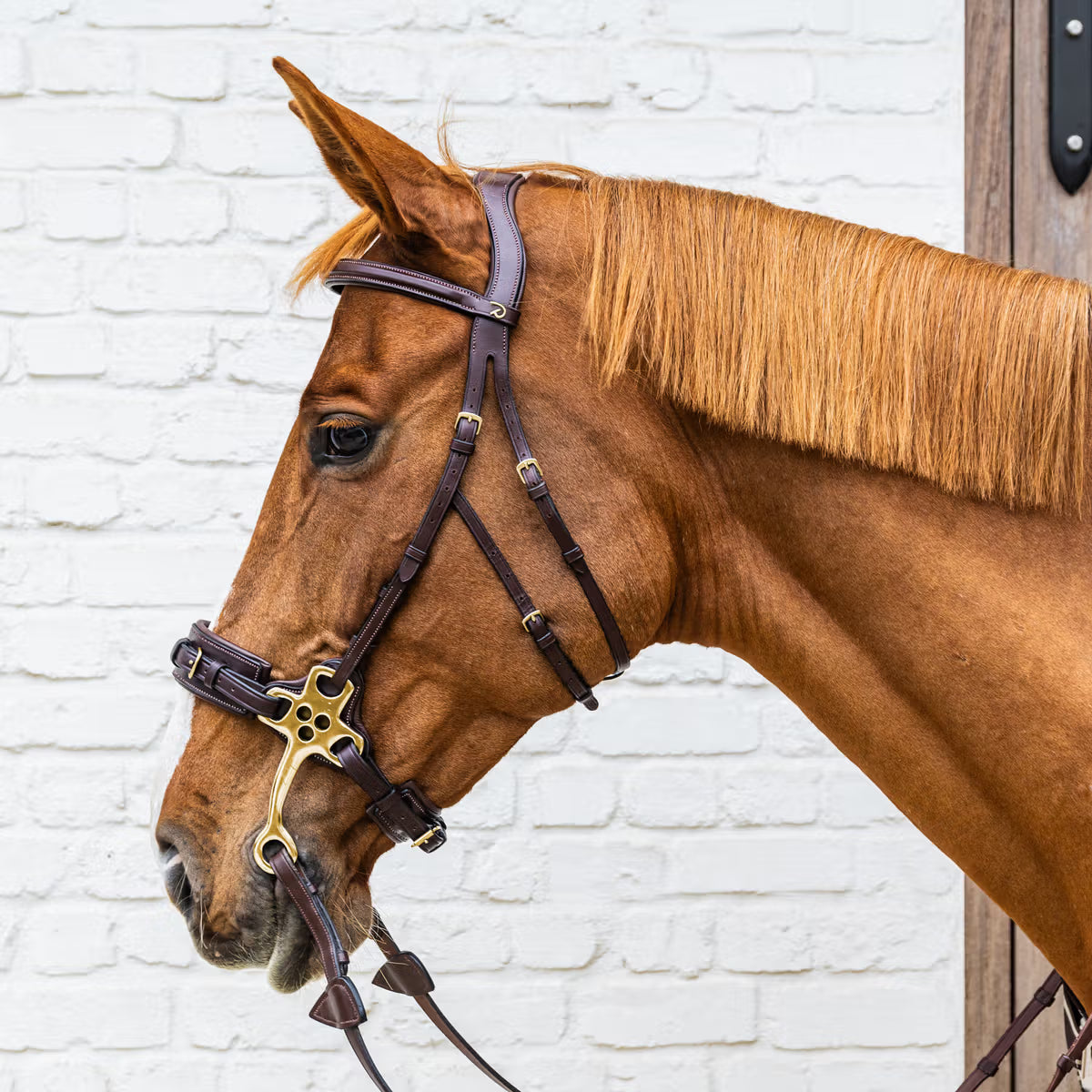 Dy'on Hackamore Hoofdstel - D Collection – detailfoto 6