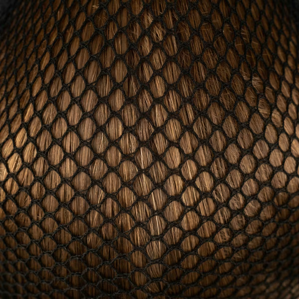 Kentucky Haarnetje 2 stuks – detailfoto 4