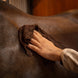 Kentucky Grooming Deluxe Zachte Doekjes op Rol 30 x 30 cm – 25 stuks