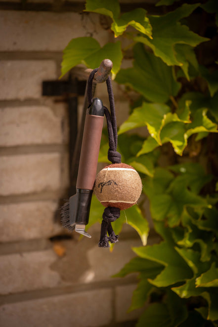 Penelope "Bal" Hoof Scraper