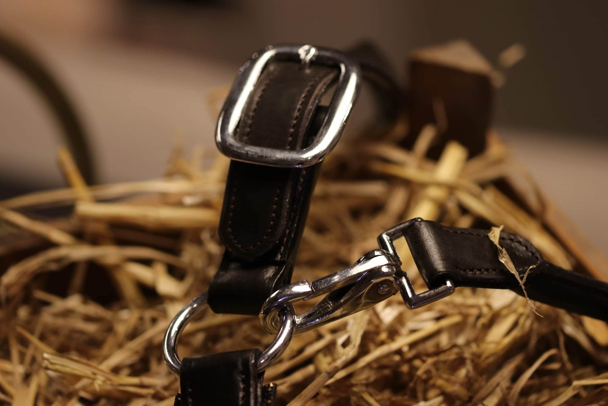 Halter HB Showtime Glitty