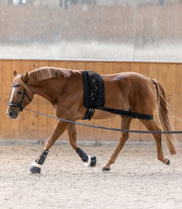 Waldhausen Body bandage Achterhand Activatie
