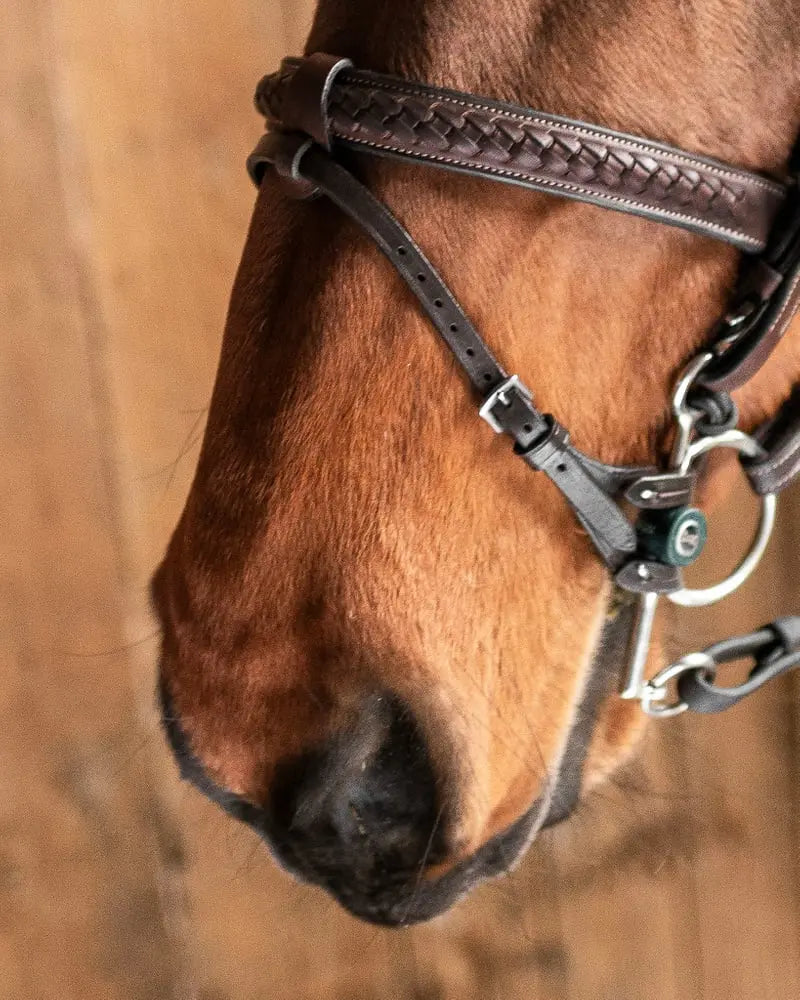 Fager Double Bit Lifter