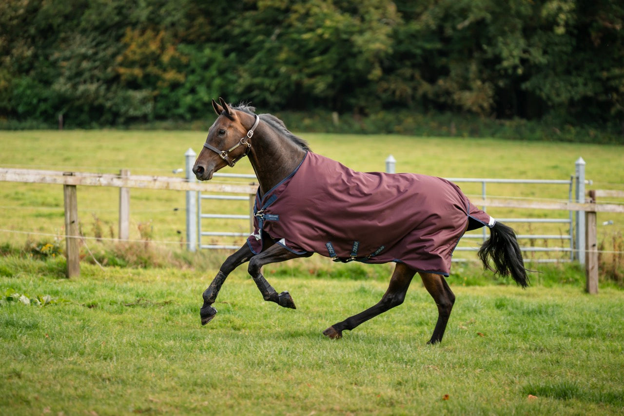 Horseware Amigo 1200D Plus Turnout Deken