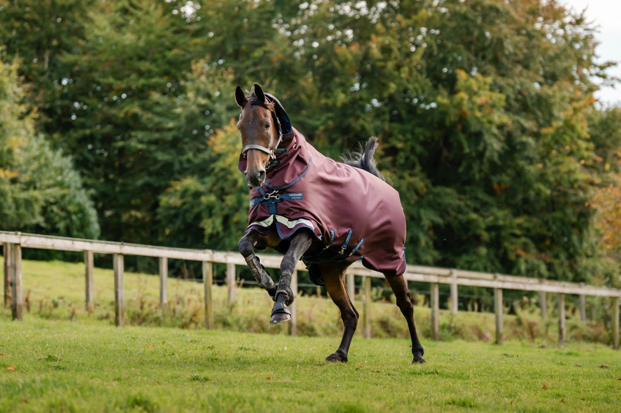 Horseware Amigo 1200D Plus Turnout Deken