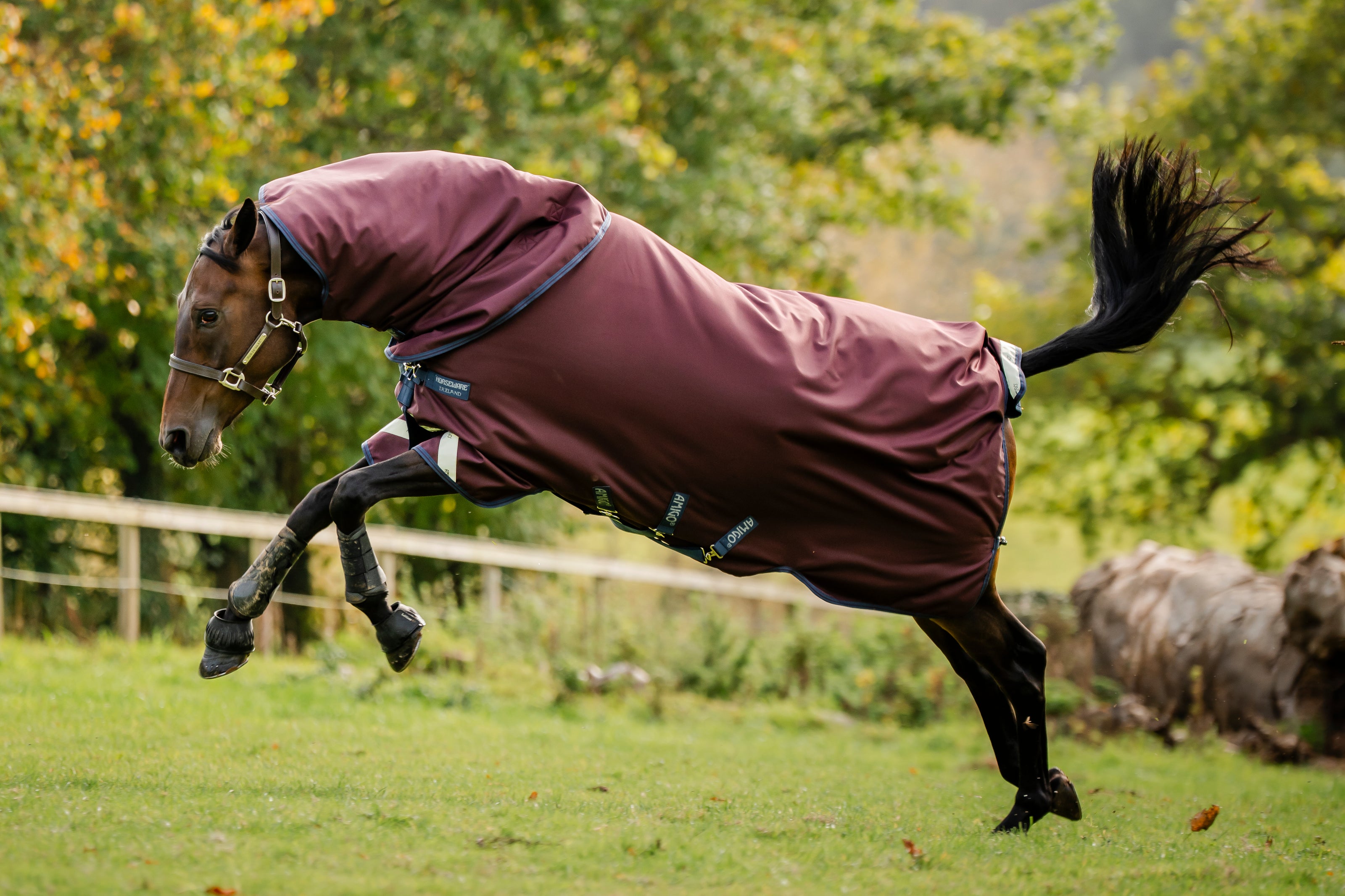 Horseware Amigo 1200D Plus Turnout Deken