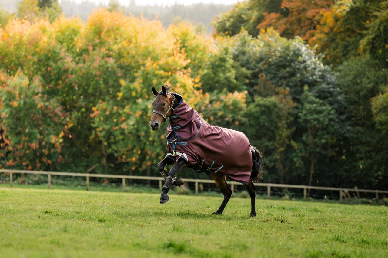 Horseware Amigo 1200D Plus Turnout Deken