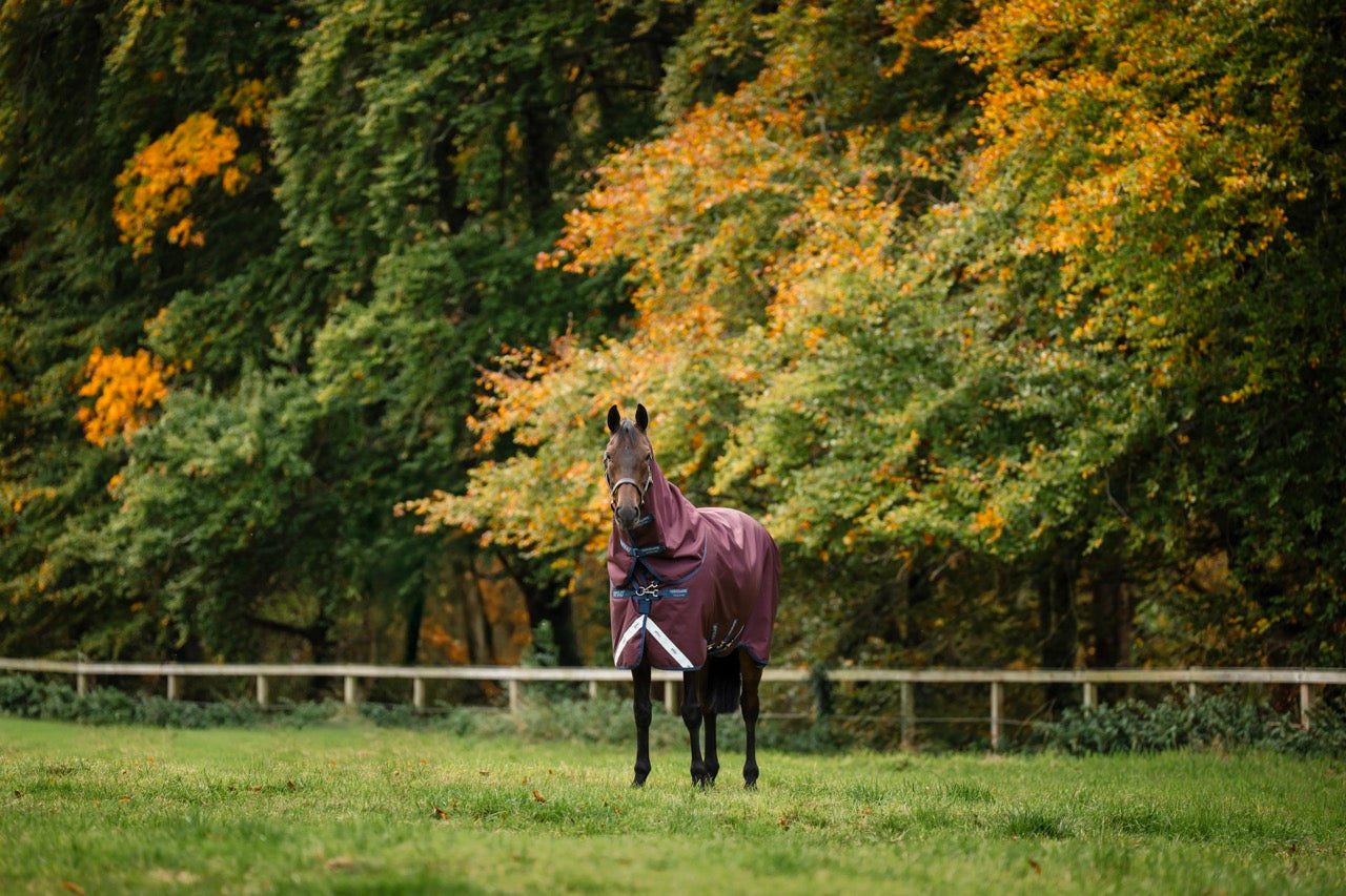Horseware Amigo 1200D Plus Turnout Deken