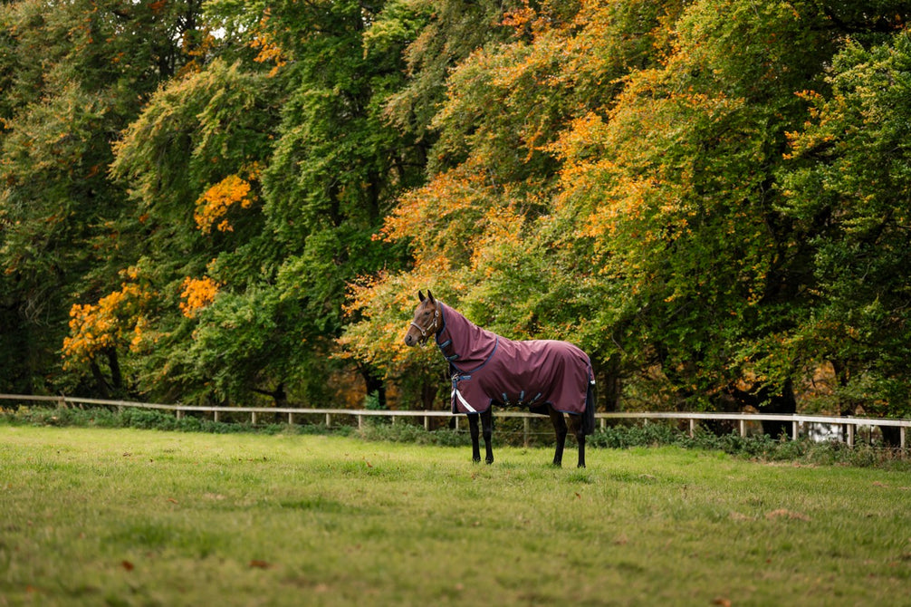 Horseware Amigo 1200D Plus Turnout Deken