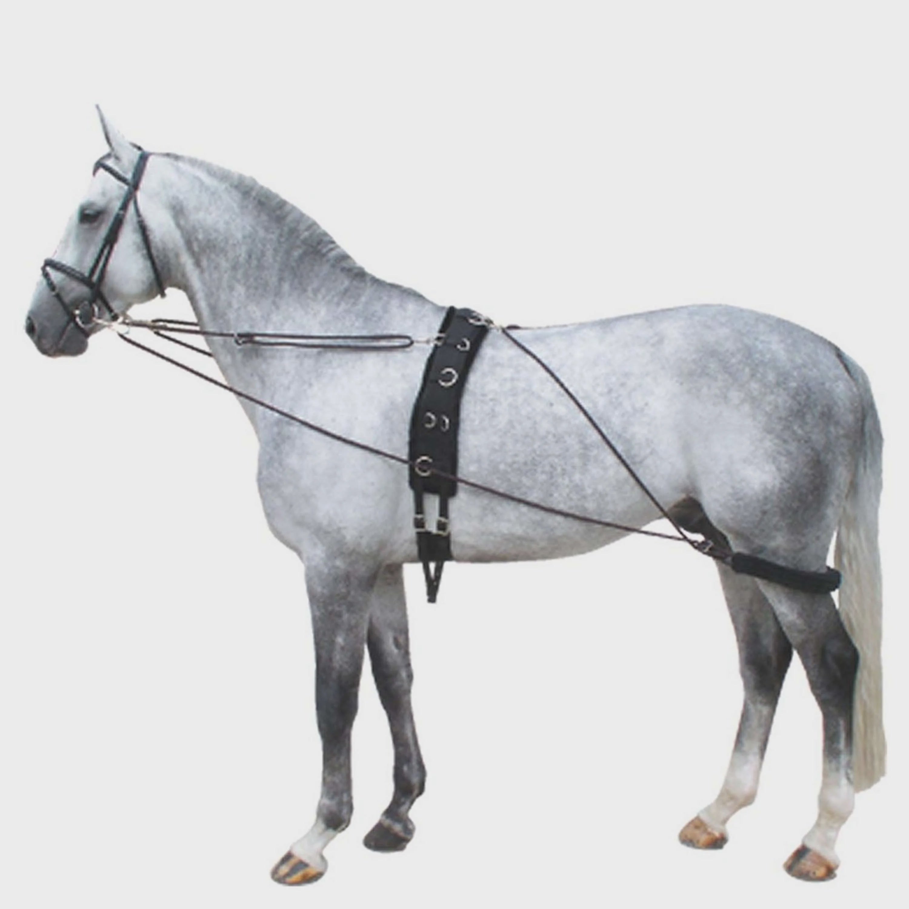 Premiere Pessoa Longeerhulpteugel Zwart/Bordeaux