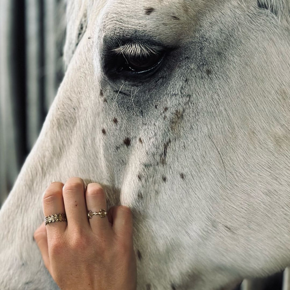 Equestrian Jewelry ring Maya met bitmotief, verstelbaar, in zilver en goud