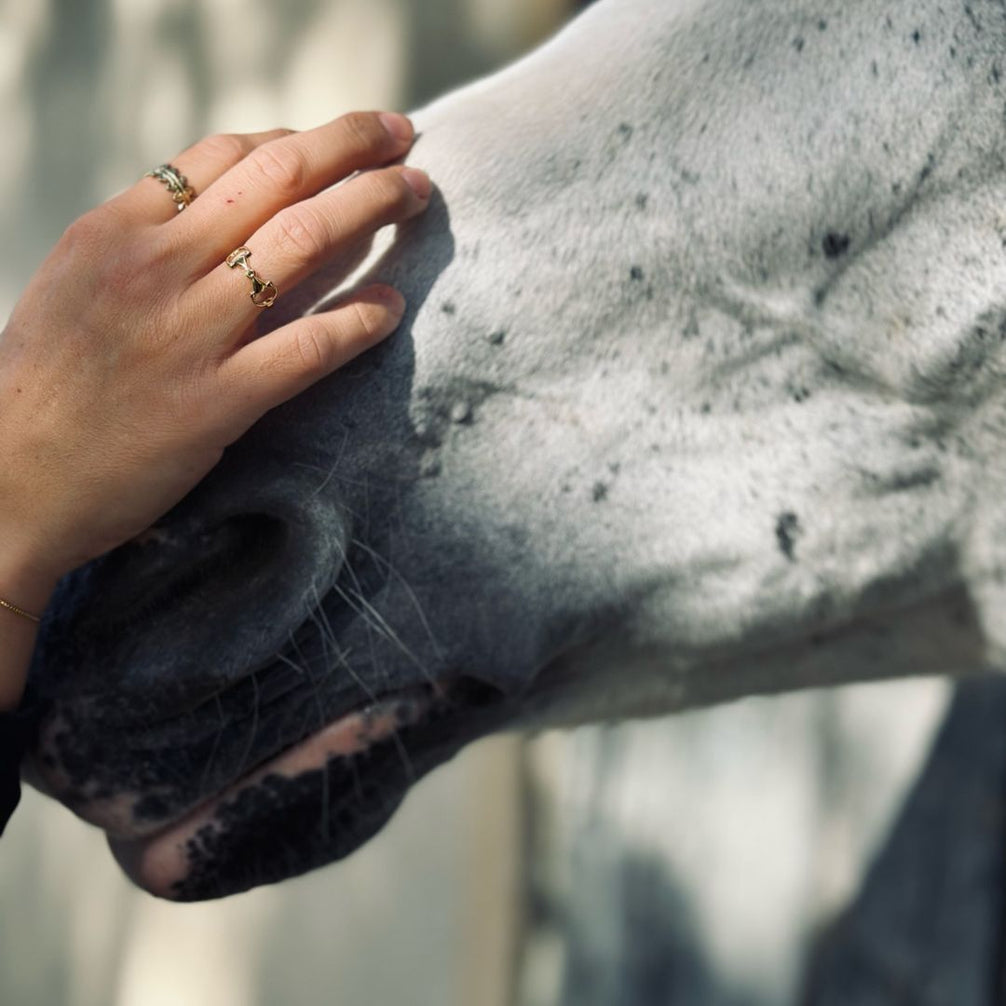Equestrian Jewelry ring Maya met bitmotief, verstelbaar, in zilver en goud