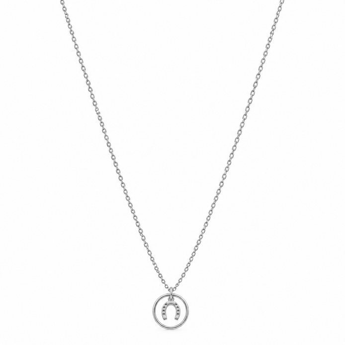 Equestrian Jewelry ketting Roxie met ronde hanger en hoefijzermotief, in zilver en goud