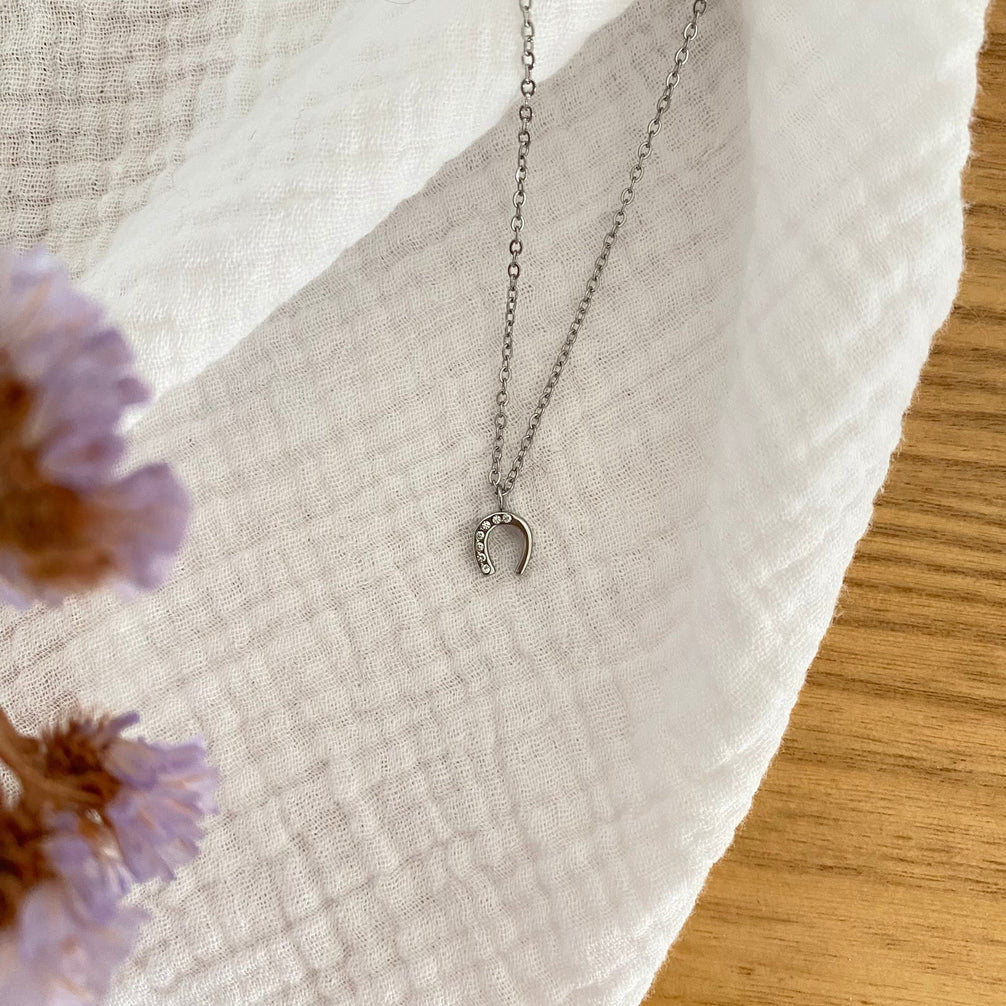 Equestrian Jewelry ketting Lola: fijne ketting met hoefijzerhanger bezet met zirkonia, in goud of zilver