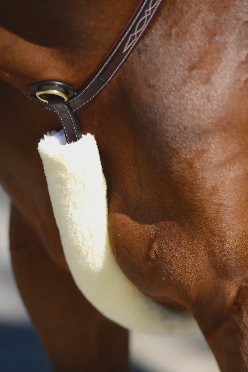 Kentucky Jachtmartingaal Cover Bont