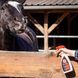 Leovet Anti-Bijt Spray – detailfoto 2