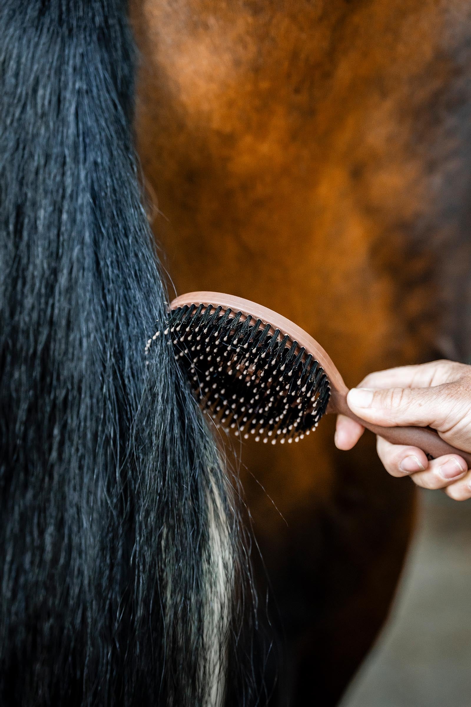 Brosse pour crinière et queue Horseware