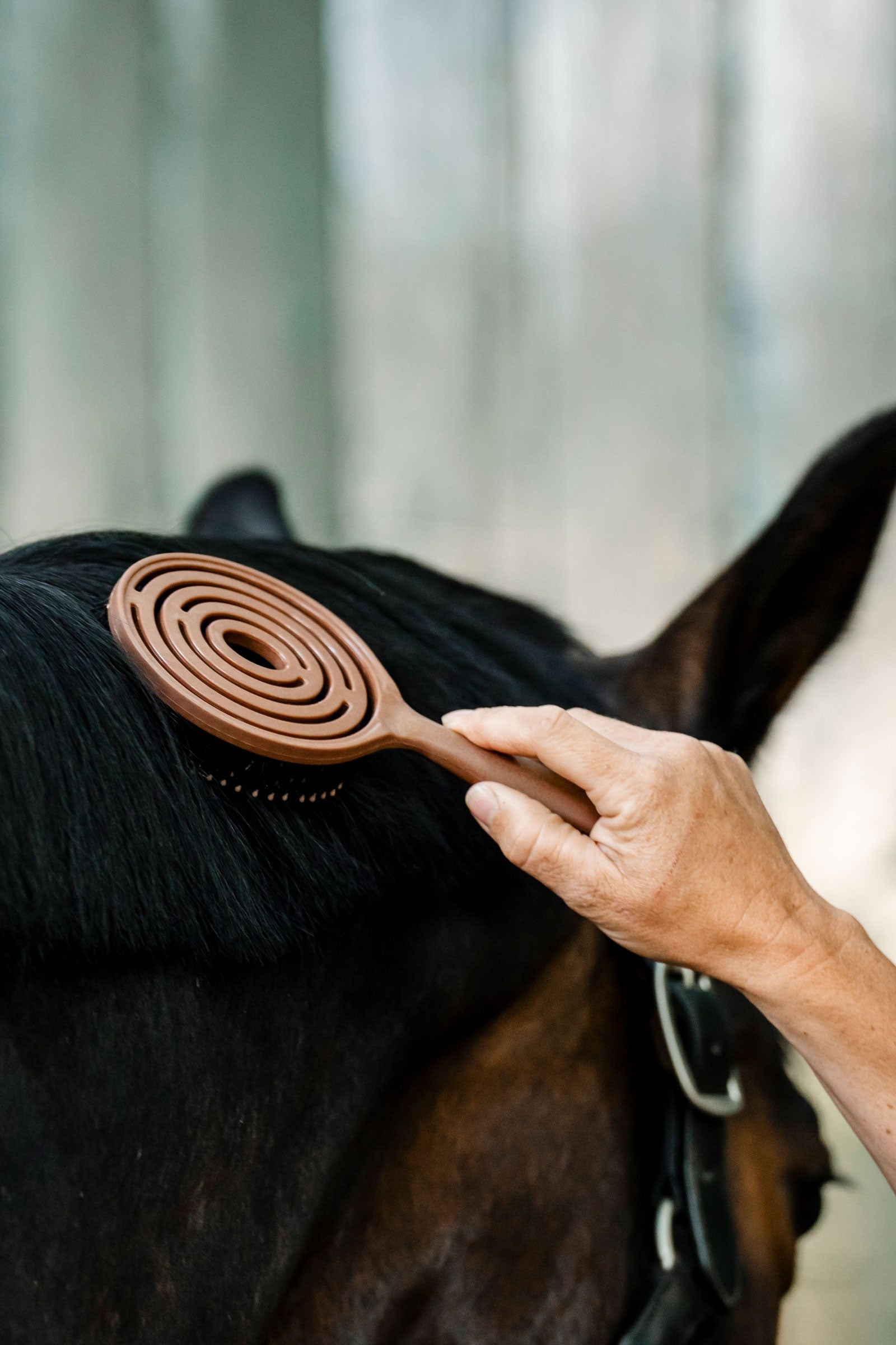 Brosse pour crinière et queue Horseware