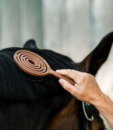 Brosse pour crinière et queue Horseware
