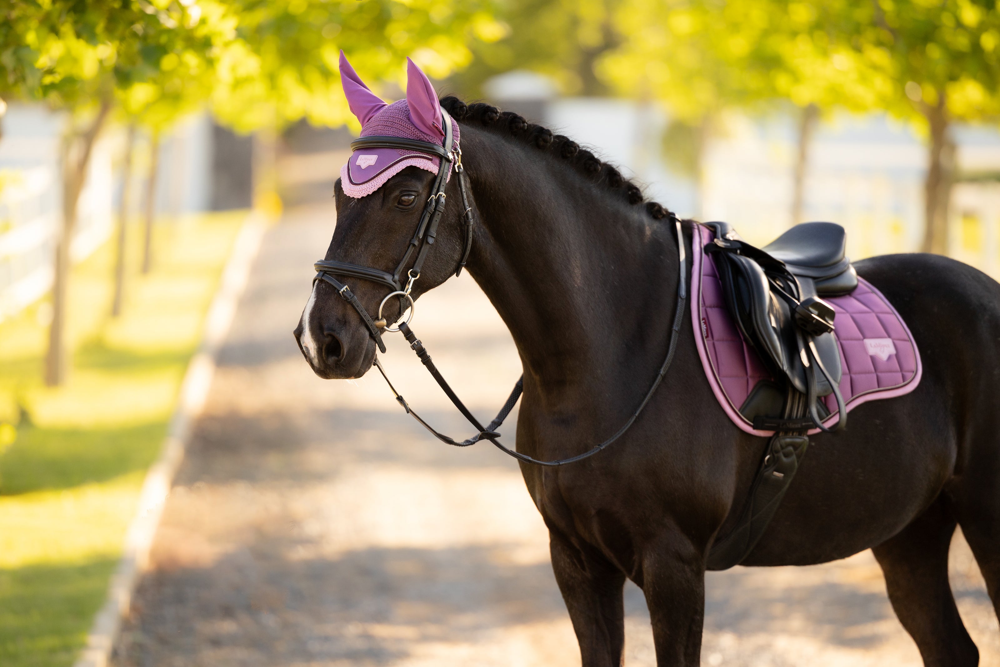 LeMieux Loire oornetje SS26