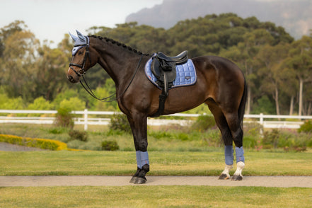 LeMieux Loire Classic Zadeldek SS26