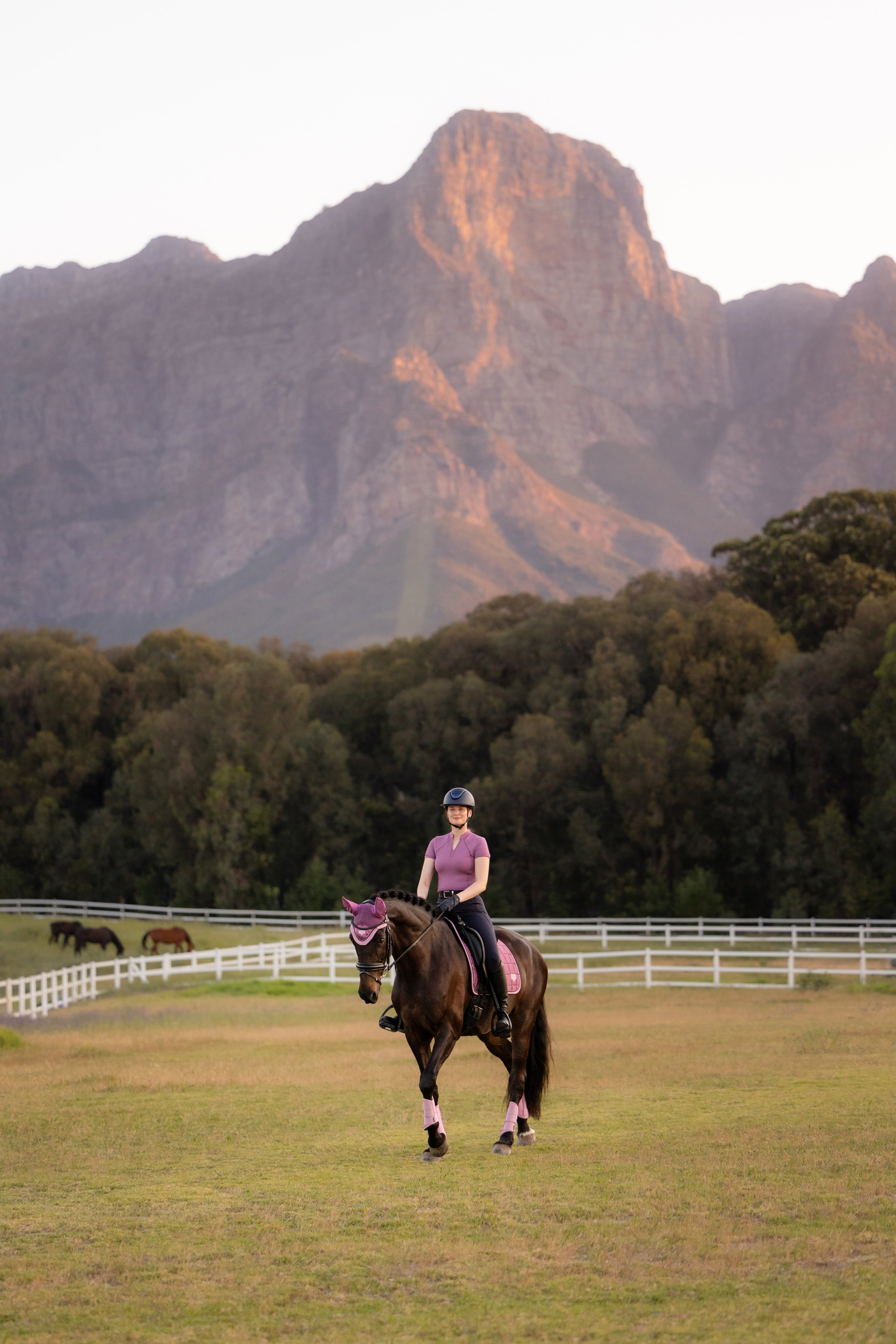 LeMieux Loire Classic Zadeldek SS26