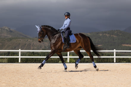LeMieux Loire Classic Zadeldek SS26