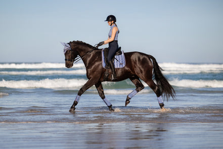 LeMieux Loire Classic Zadeldek SS26