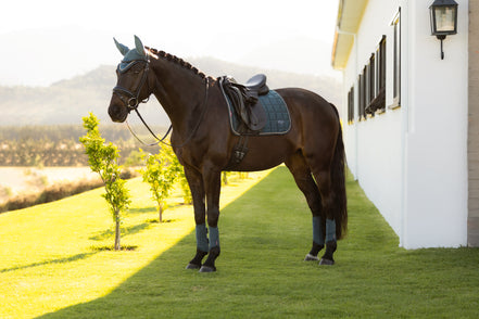 LeMieux Loire Classic Zadeldek SS26