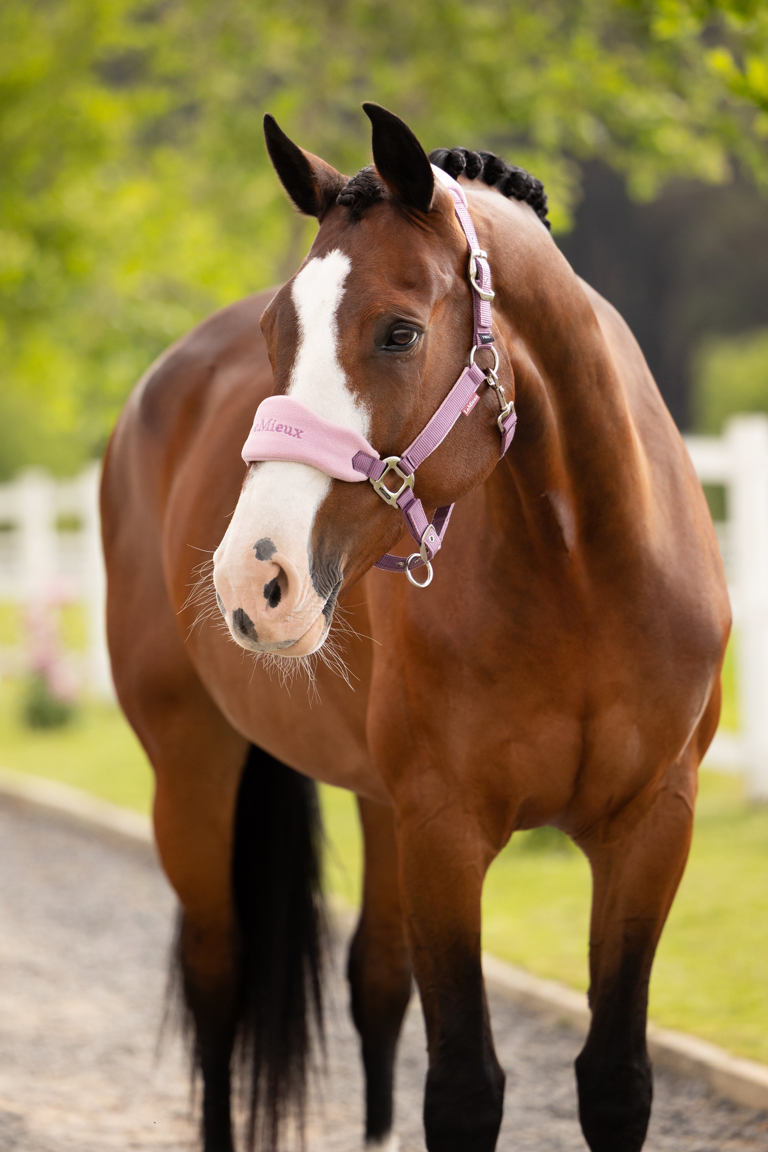 LeMieux Vogue Halster & Touw