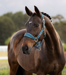 LeMieux Versailles Halster