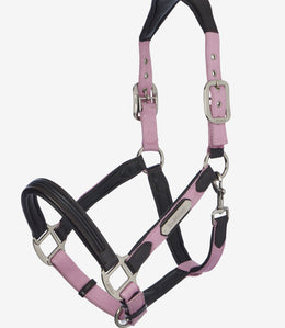 LeMieux Capella Halster