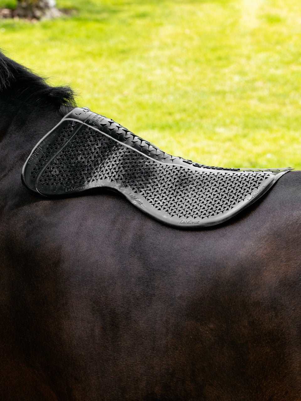 LeMieux Gel-Tek Shaped Half Pad