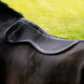 LeMieux Gel-Tek Shaped Half Pad